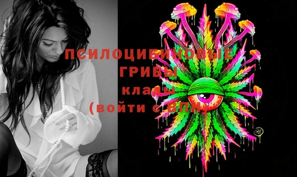 хмурый Арсеньев