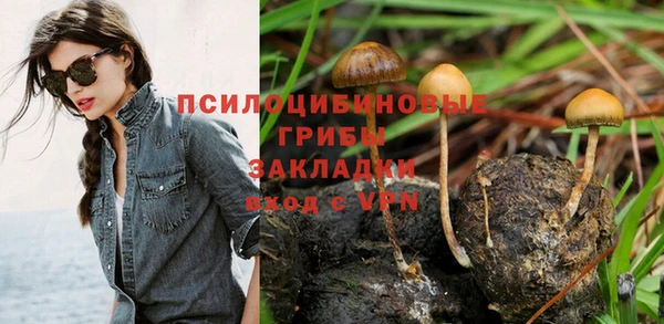 таблы Алексин